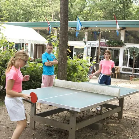 Курортный комплекс Ra Reeenveld Mobile